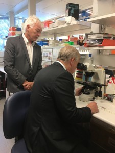 HRH meets researchers developing a vaccine for malaria