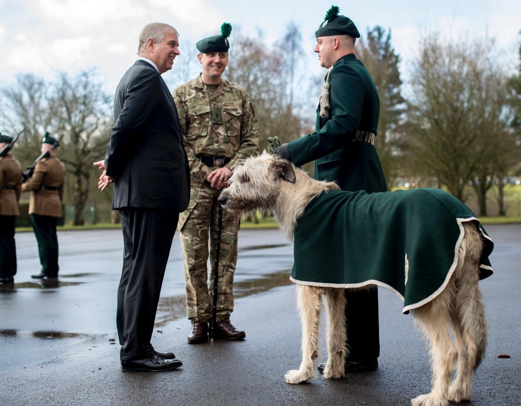 HRH The Duke of York Visits The Royal Irish Regiment