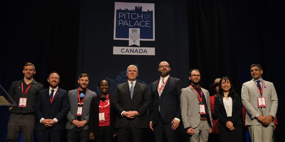 PITCH@PALACE CANADA 1.0 - THE RESULTS