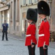 Commemorating the 75th Anniversary of the Liberation of Bruges